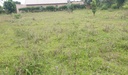 Land for sale in Bugesera access on airport of Rwanda